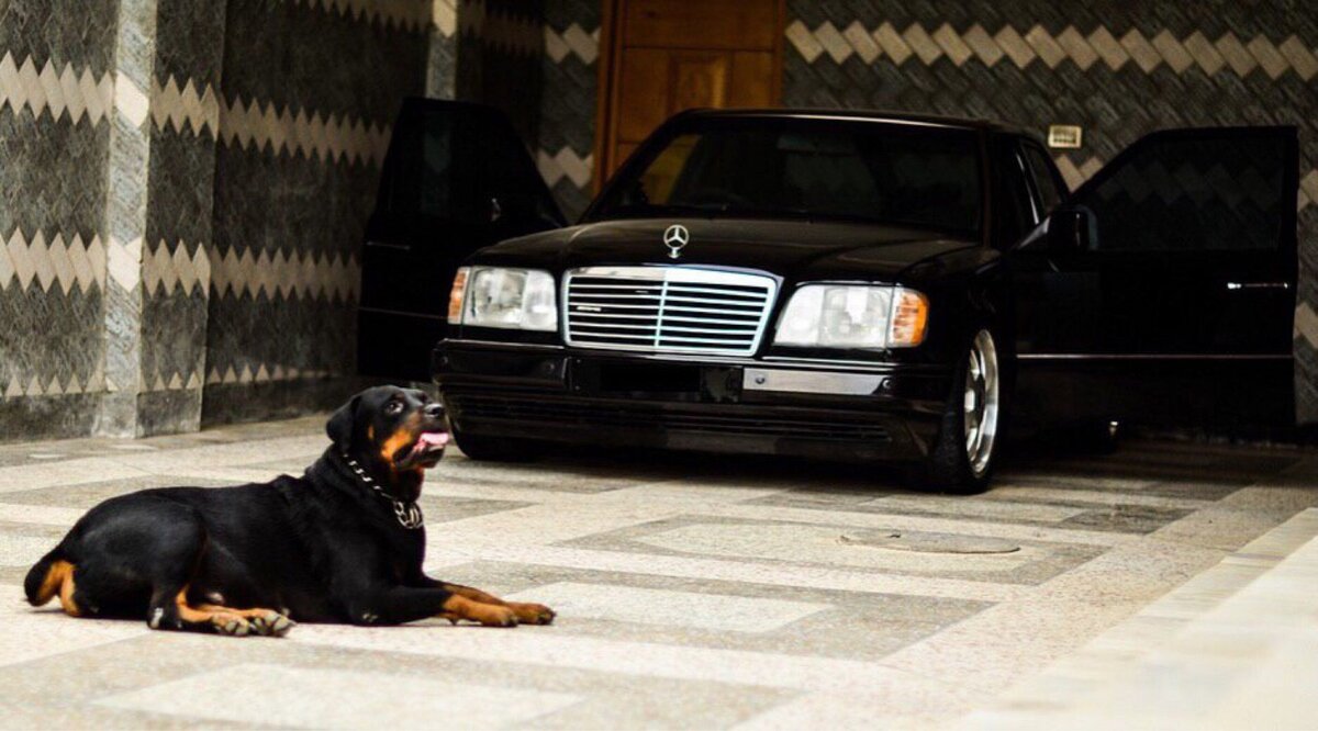 Источник https://krasivosti.pro