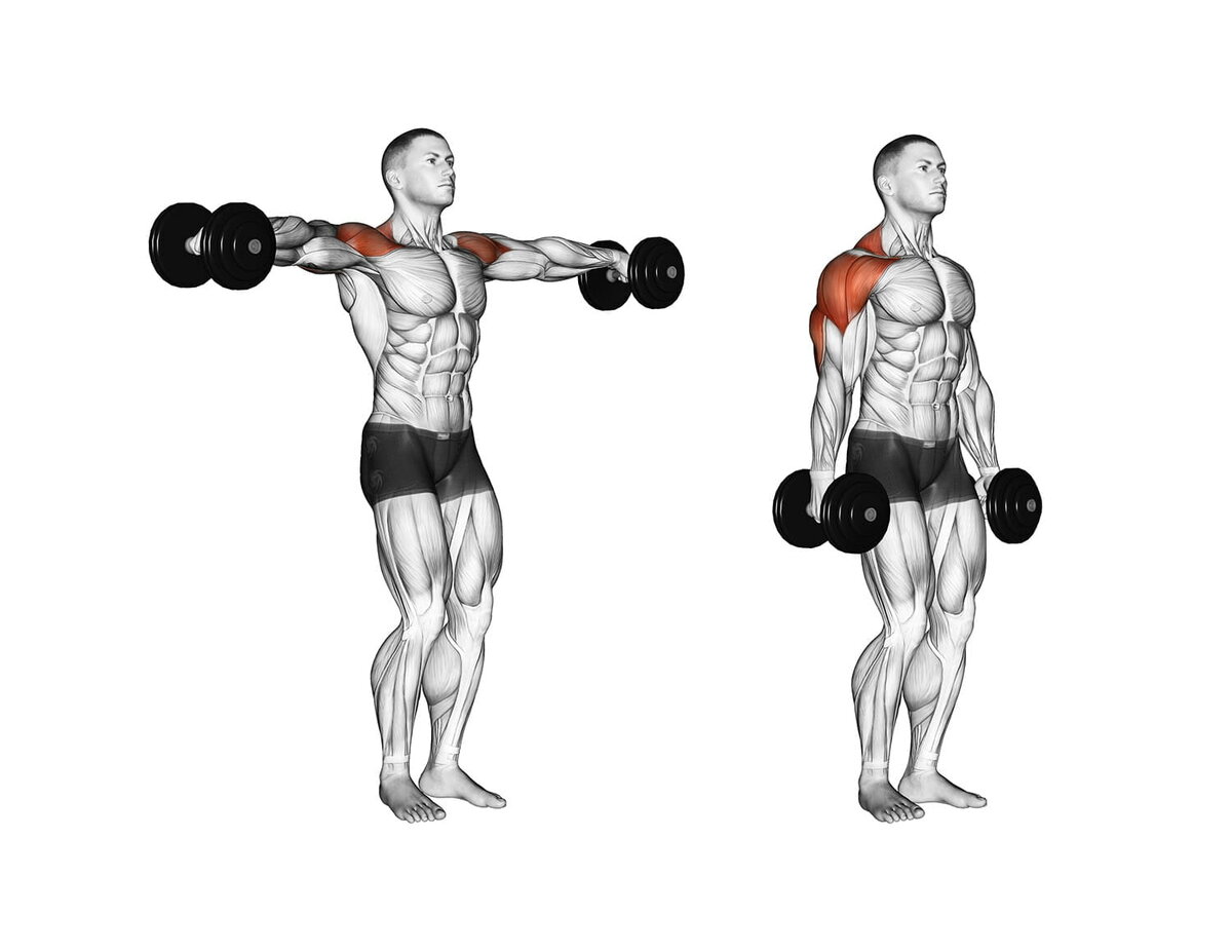 Махи (разведения) гантелями стоя. Подъем гантелей через стороны мышцы. Подъем гантелей в стороны стоя. Махи гантелей на среднюю дельту сидя.