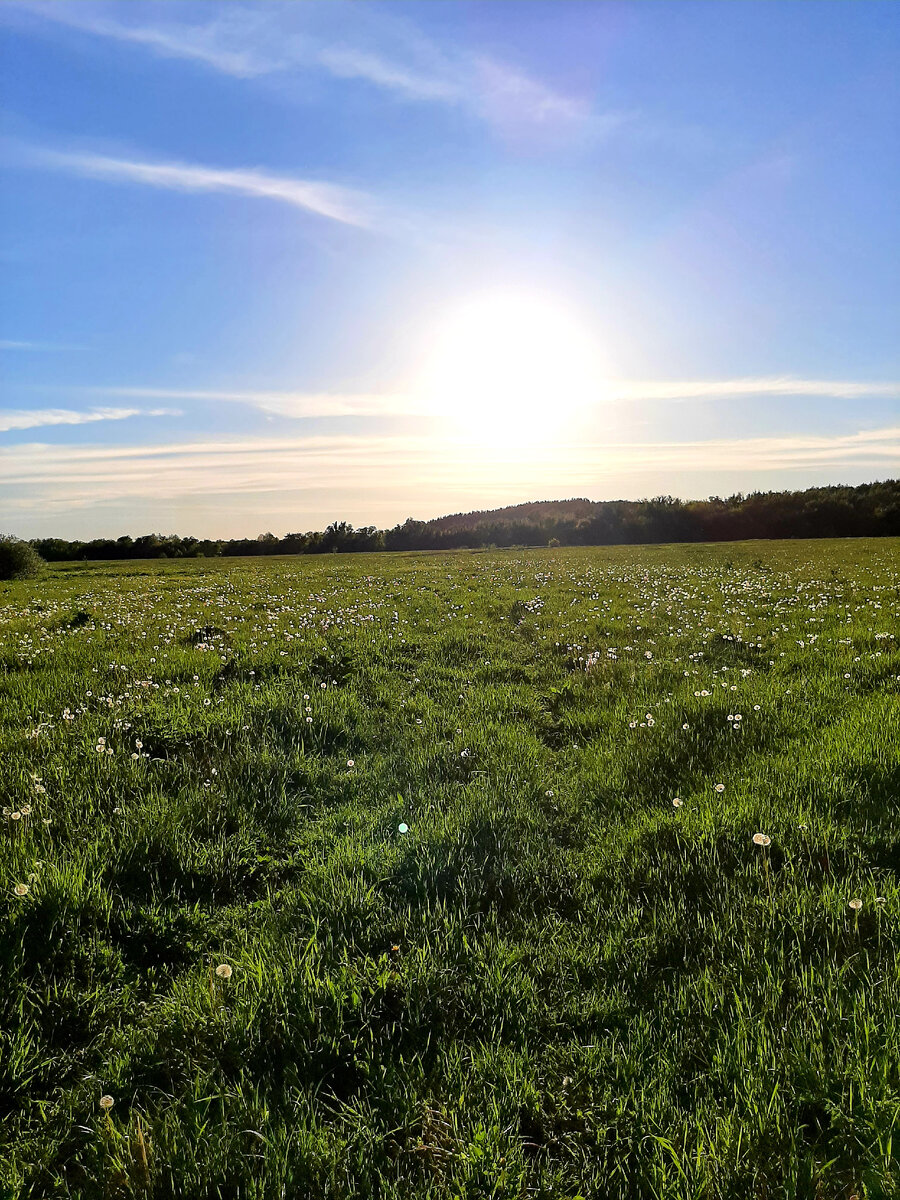 Дорога моего детства...