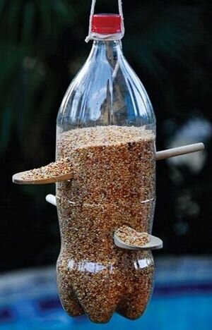 Как сделать кормушки для птиц из бутылки: 1, 2, 5-литровой, фото
