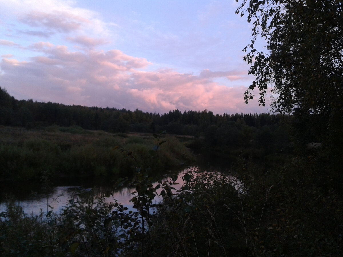 Вечер на речке Кипшеньге. Фото Н.Белозерцевой