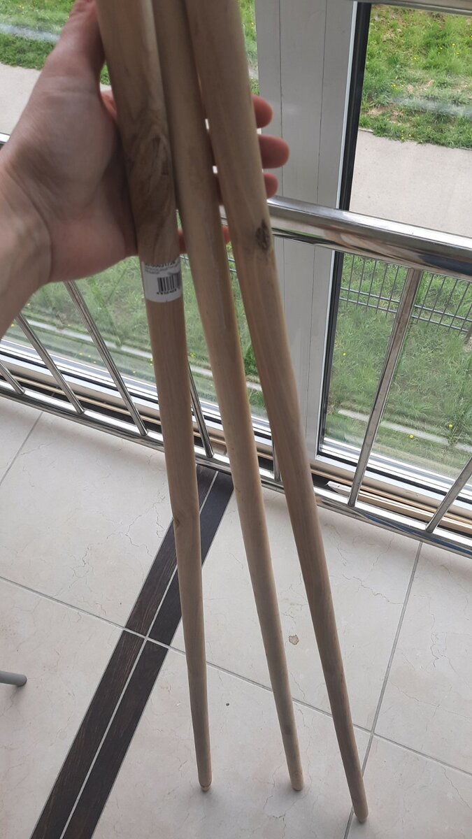 черенки ждут своего часа