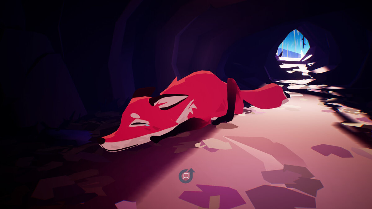 Мать-лиса плачет. А на следующем кадре - появившиеся на свет детишки (листайте галерею).