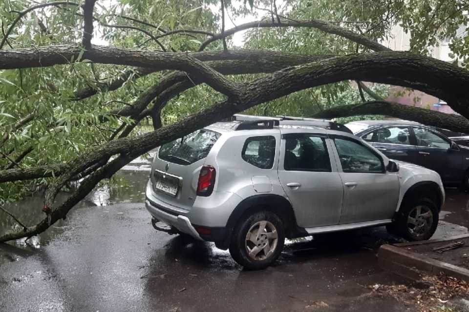     Пользователи Сети шутят, что на фото единственный везунчик. кого не зацепила непогода в субботу - дерево аккуратно обогнуло авто. Фото: СОЦСЕТИ