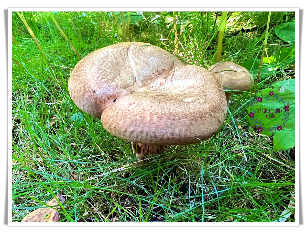 Номер 2. Листайте, пожалуйста. ⏩⏩