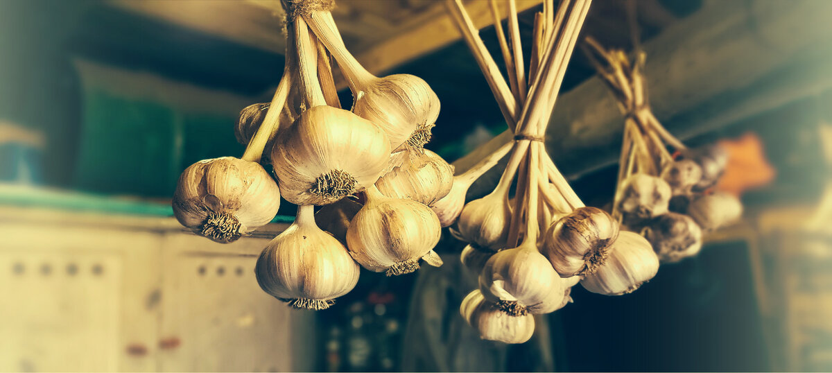 Авторское фото