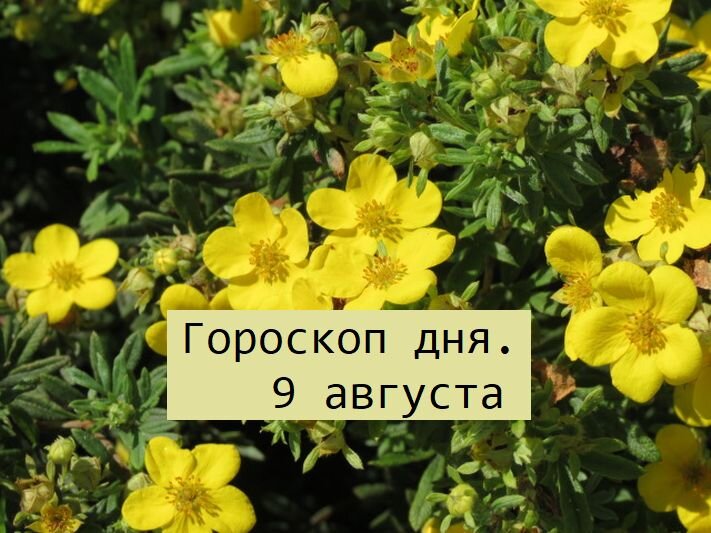 гороскоп дня