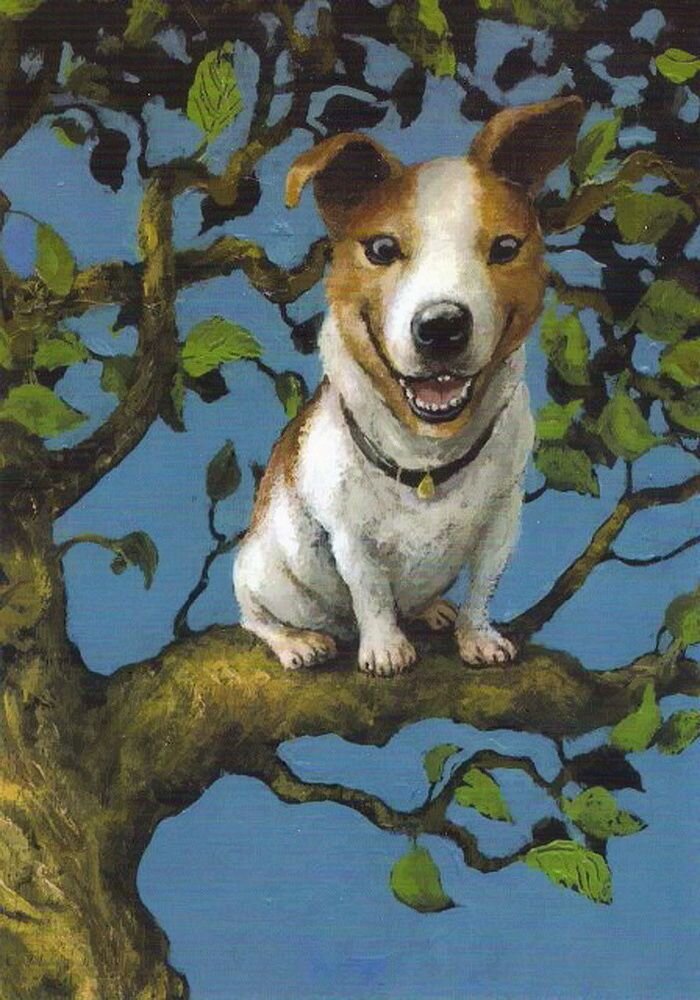 © Руди Хурцльмайер / Rudi Hurzlmeier / Я на дереве сижу...