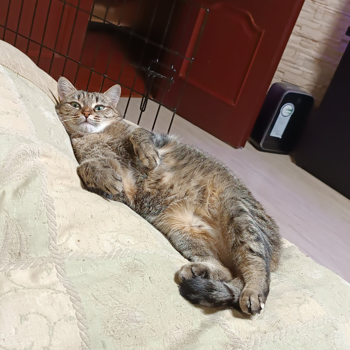 Лиза,замерзала на улице.