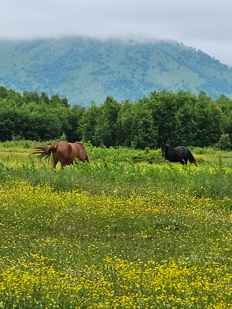 Тайна и красота Камчатки: путешествие в национальное стойбище "Кайныран"(часть 3)