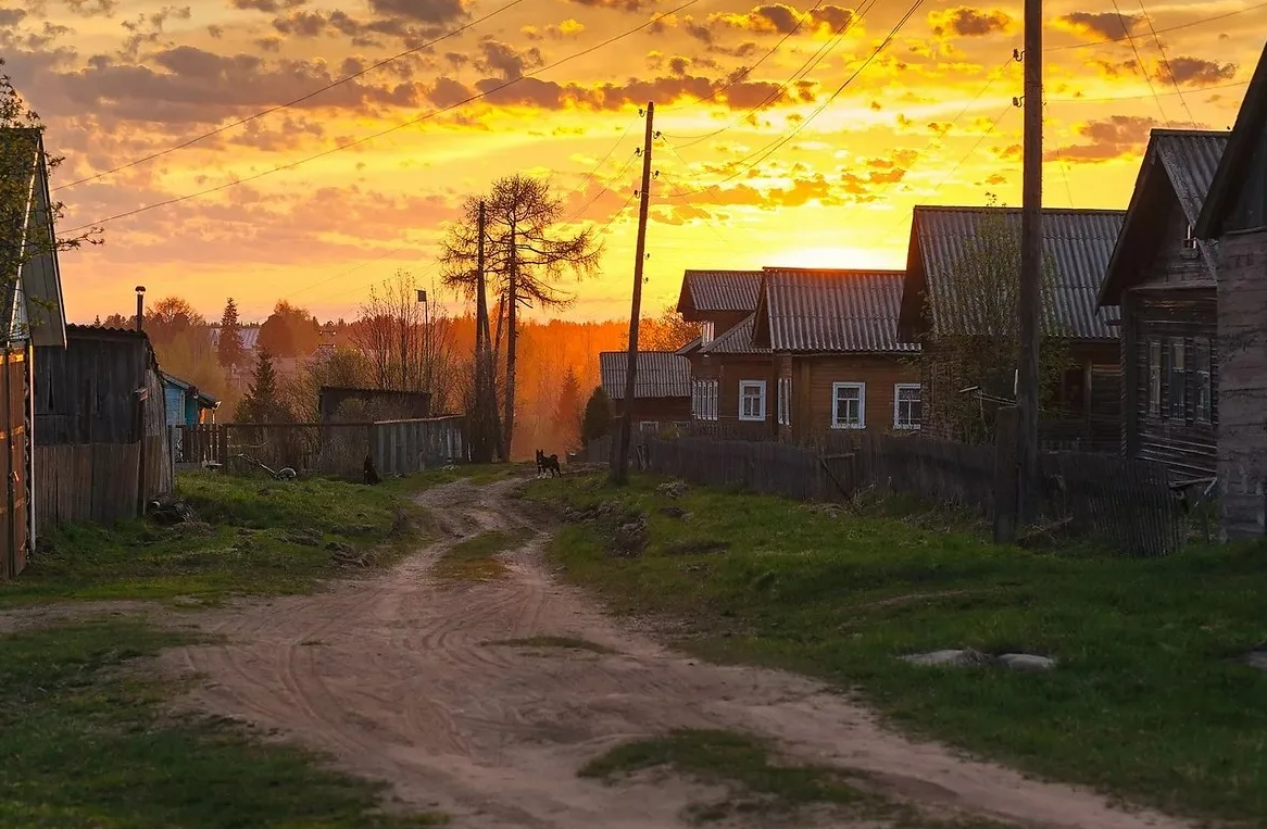 Яндекс картинки