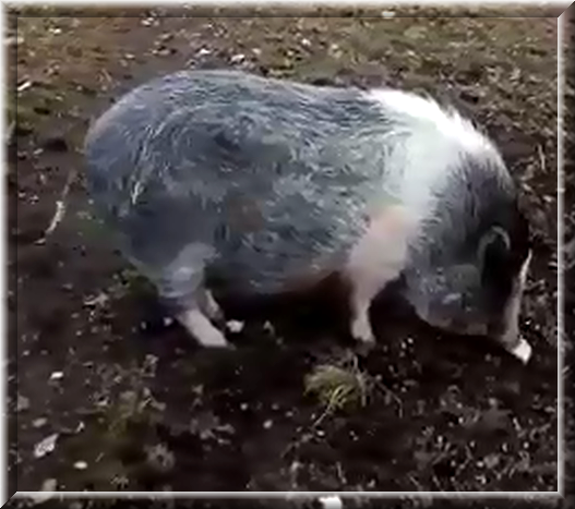 И вот мы выросли.