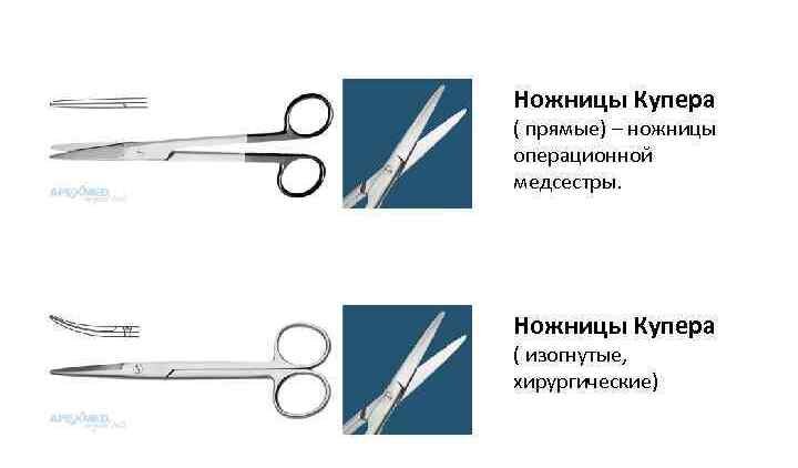 Фото с сайта https://present5.com/moskovskij-gosudarstvennyj-mediko-stomatologicheskij-universitet-kafedra-obshhej/