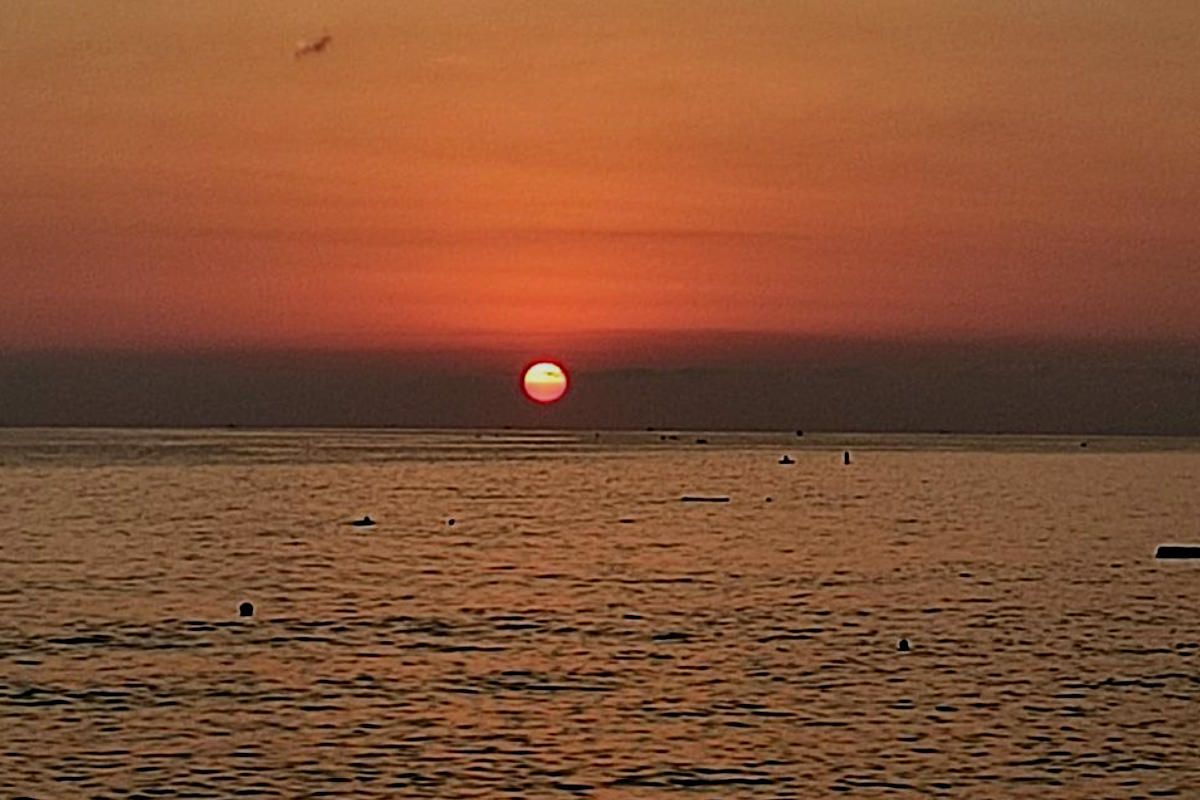 Автор фото Варгальская Наталья