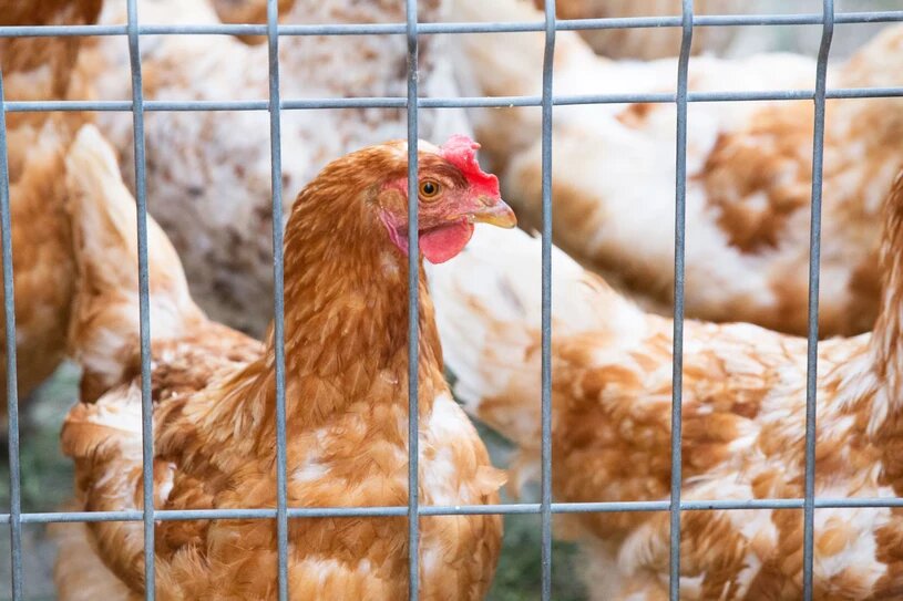 Опасность распространения вируса