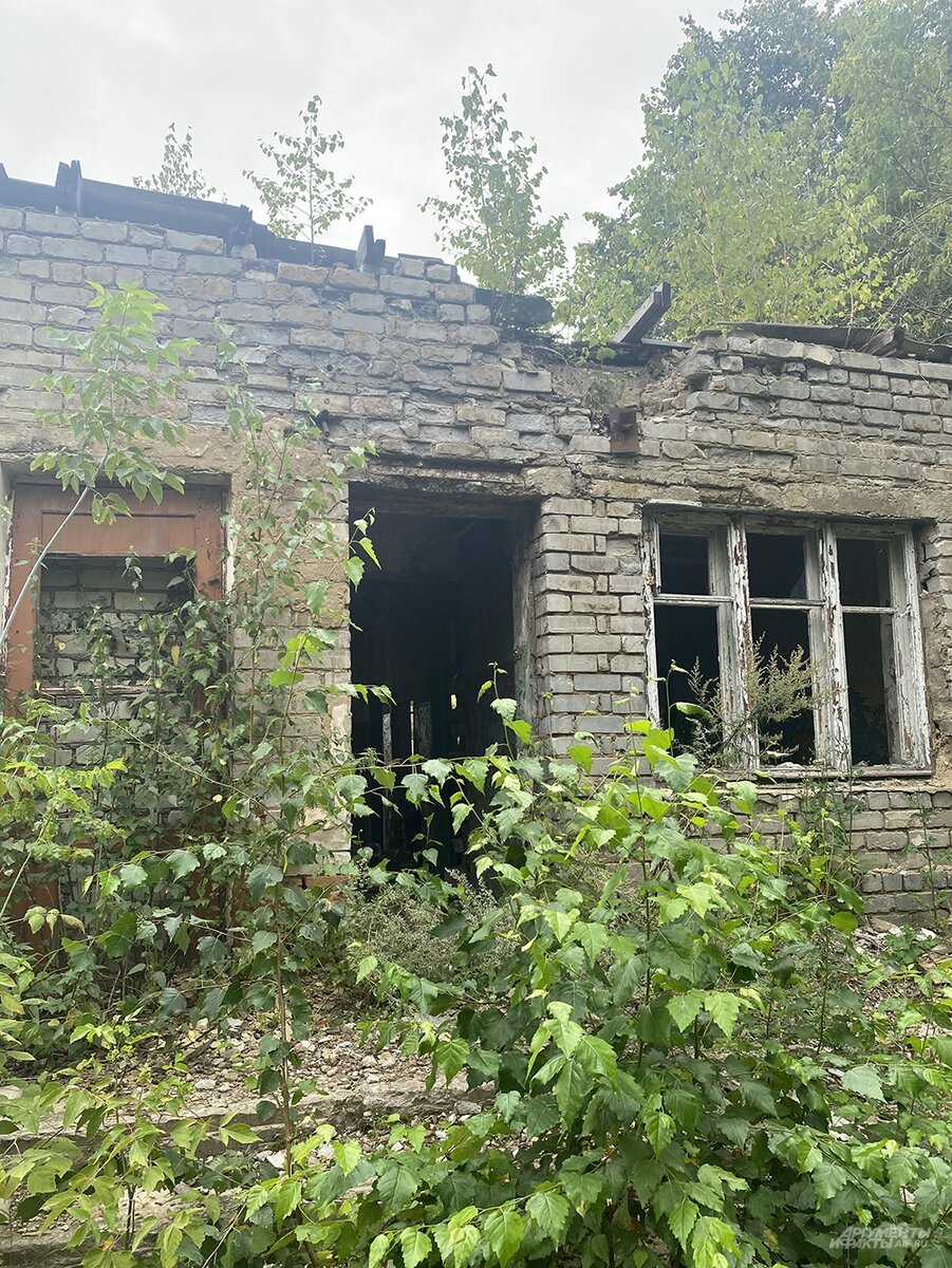 Где много мужчин, там и агрессия». В городе Скопин появился новый маньяк |  Аргументы и факты – aif.ru | Дзен