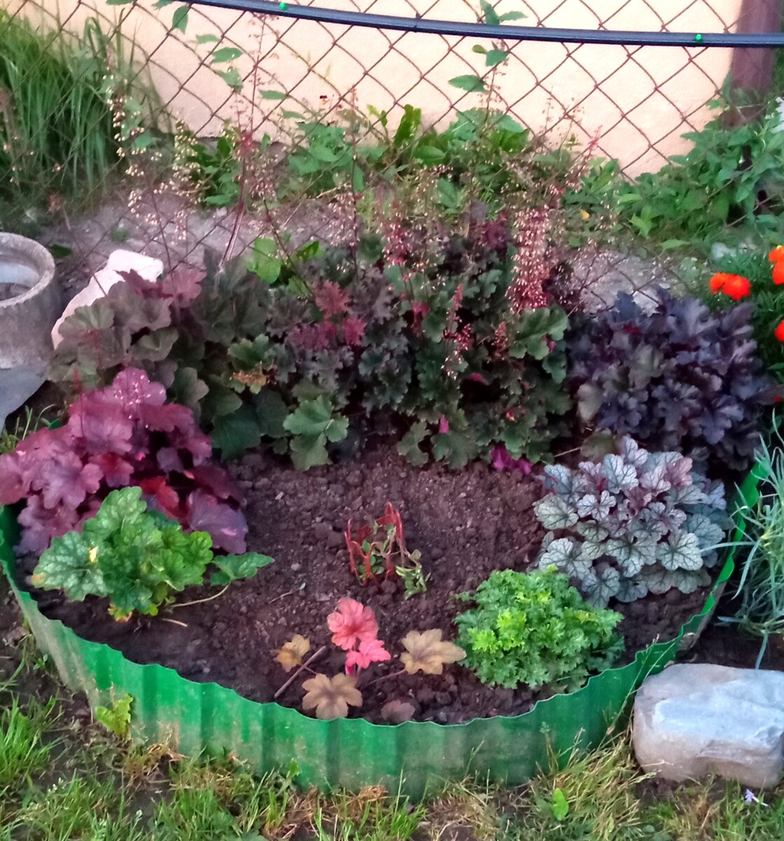 Вот тут он рос. Теперь нету 