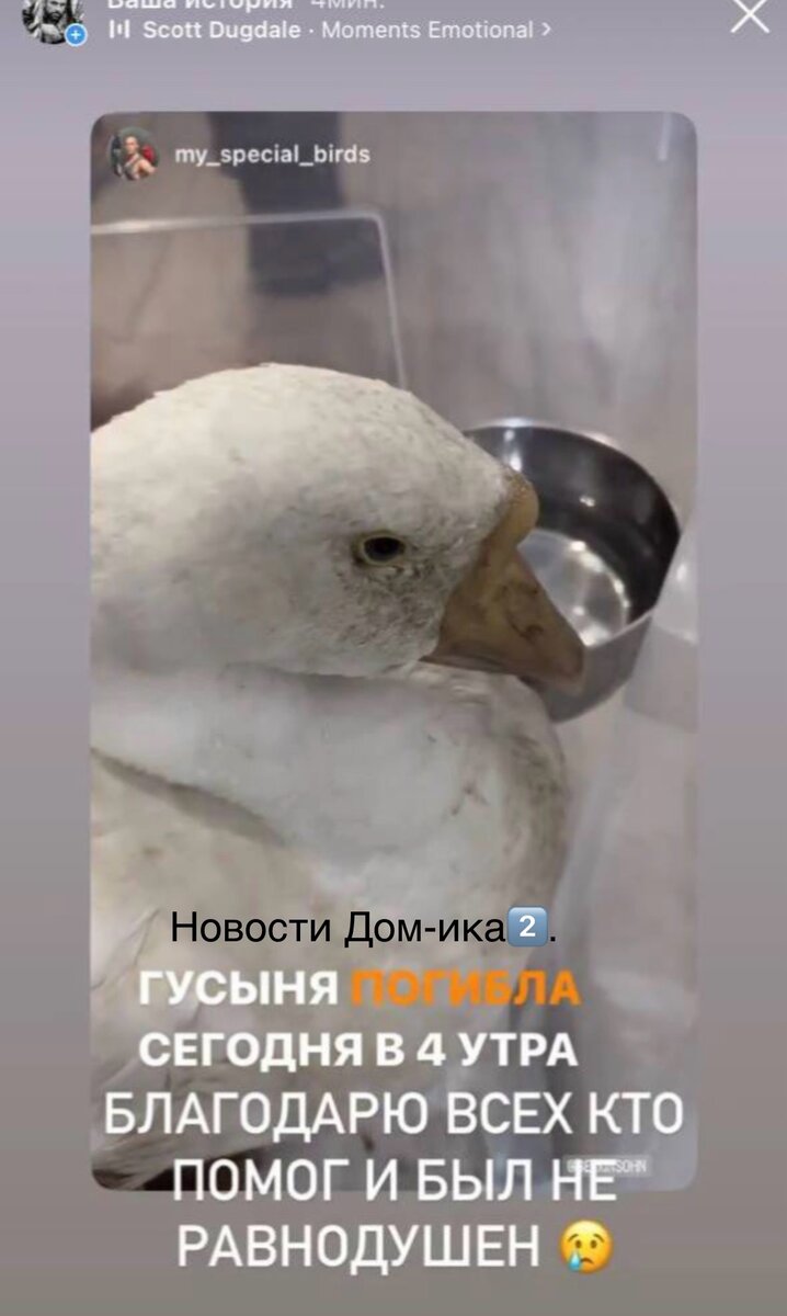 Все фото из свободного доступа: Яндекс картинки и личные странички в соцсетях.