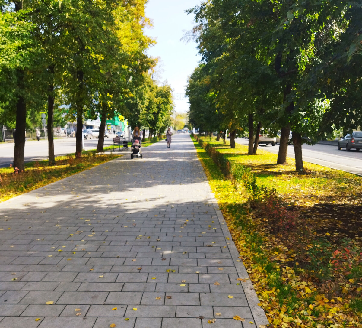 Фото автора