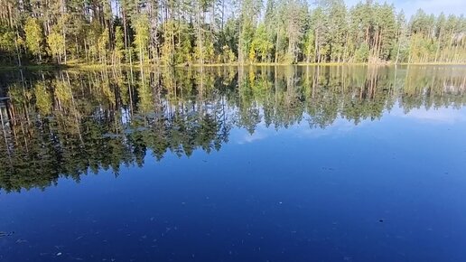 Сосновский лес и озёра: Тенистое, Туманное, Уловное, Раздолинское. ПВД Ленинградская область