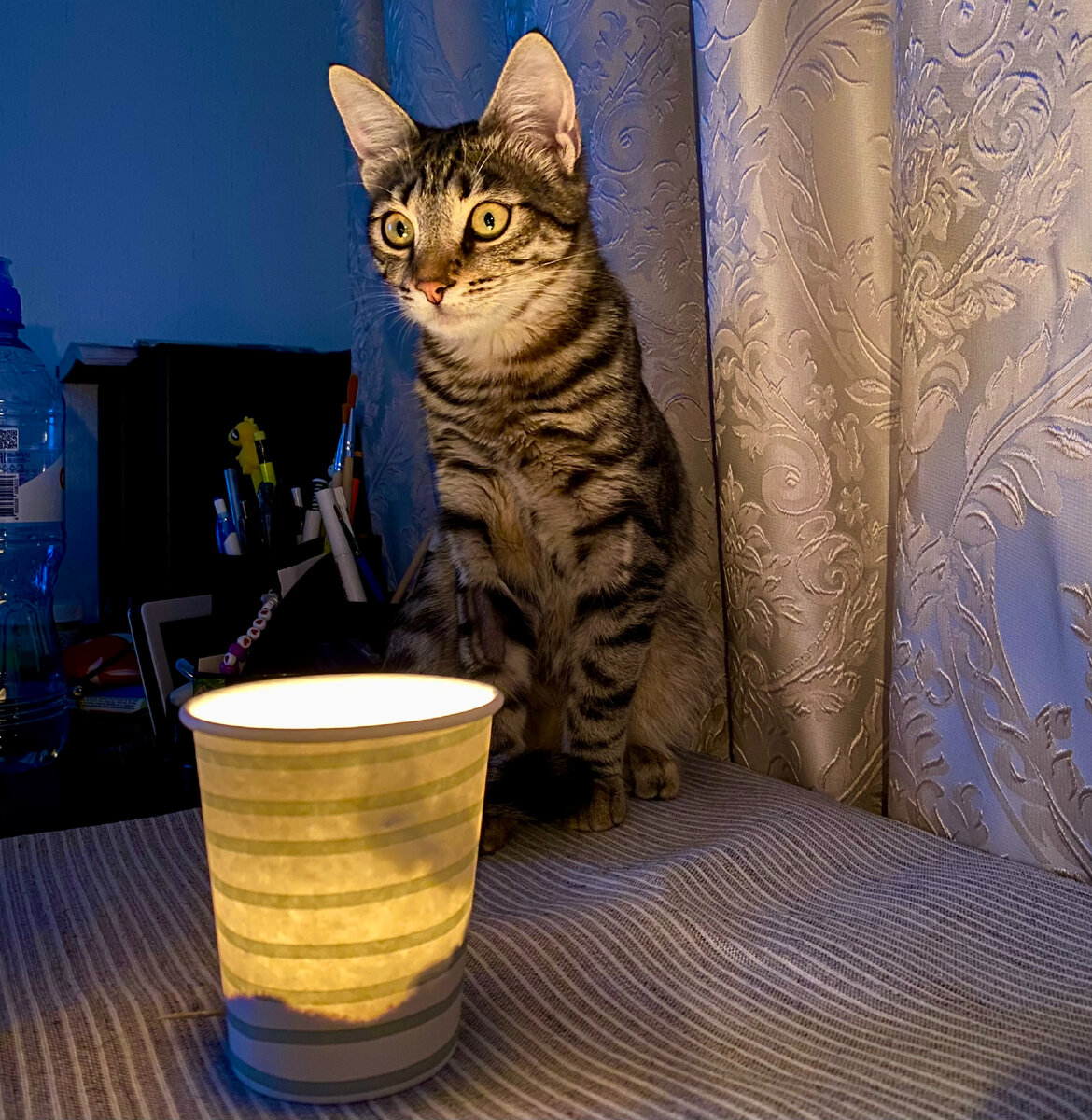 Очень нравится эта фотография