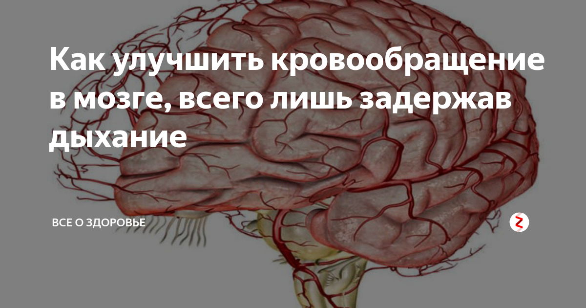 Как улучшить состояние сосудов головного мозга