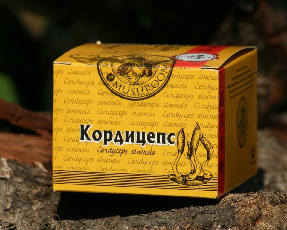 Cordyceps капсулы. капсулы кордицепс китайский тяньши. китайский корень кордицепс. кордицепс состав. капсулы кордицепс китайский тяньши.