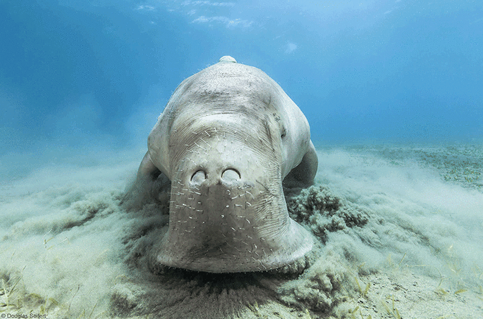 Включаем пылесос