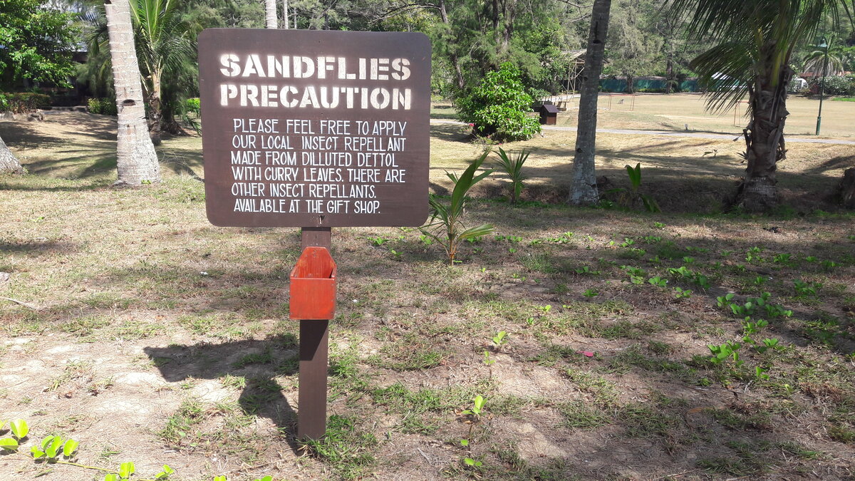 Табличка на пляже отеля "Sandlies предостережение. Пожалуйста не стесняйтесь применяйте наш местный репеллент на основе разбавленного деттола с листьями карри, а так же есть и другие репелленты доступно в нашем сувенирнм магазине."