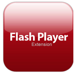 Ответы бородино-молодежка.рф: Модуль Adobe Flash Player заблокирован, так как он устарел