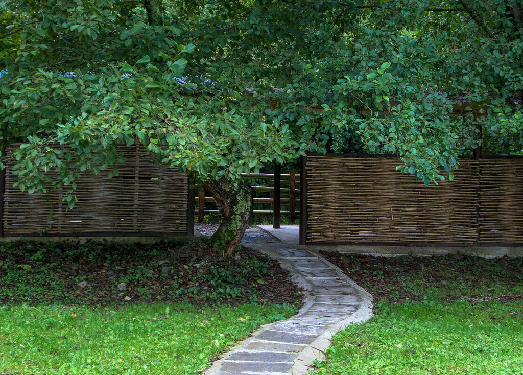 Где вкусно покушать? - Топ-5 лучших кафе Абхазии | Путевые заметки | Дзен