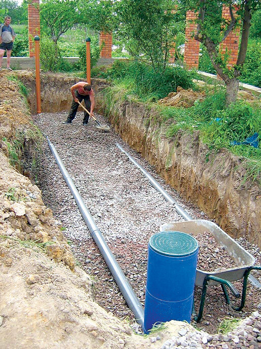 Трубчатое поле фильтрации рядом с крупным деревом