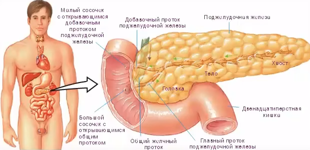 Источник: https://youtu.be/hZoN4-peQQA