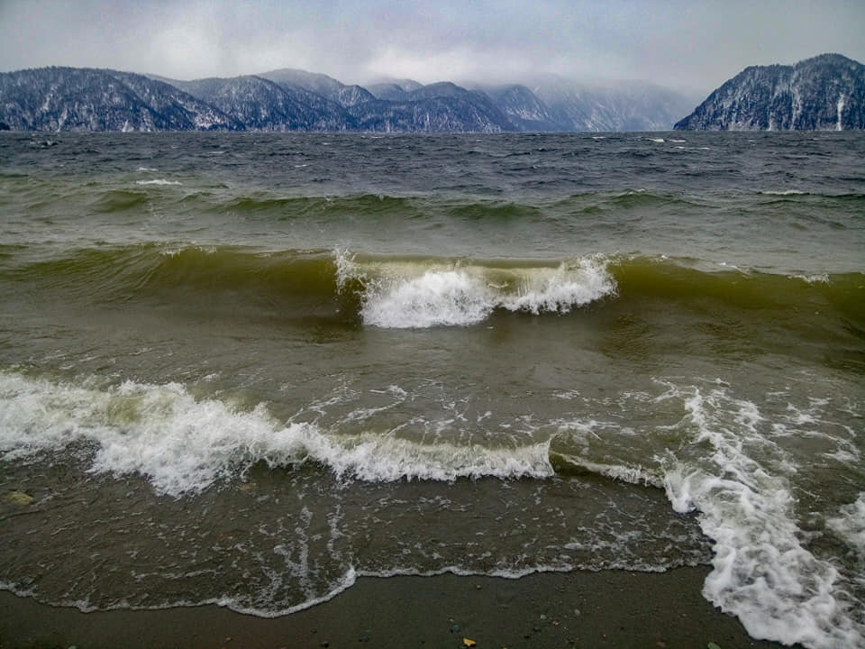Верховка подняла волну.
