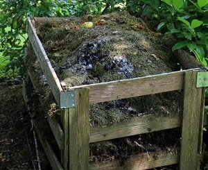 Ультрафиолетовое облучение почвы