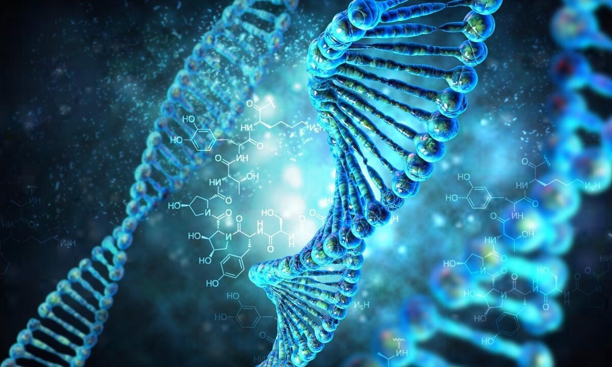 Подписывайся на канал, оставляй комментарии ! Мы будем тебе признательны. 