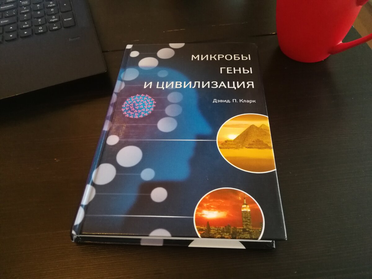 Научно-популярная литература удивительная вещь. Сколько труда и опыта может вместить в себя 250 страниц текста? Ответ на этот вопрос ищу до сих пор. 