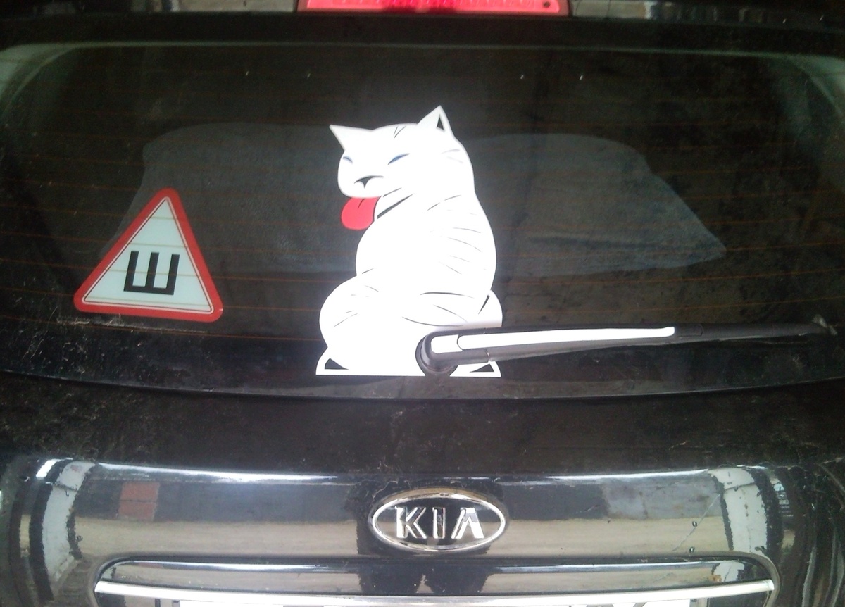 Фото из сервиса Яндекс картинки