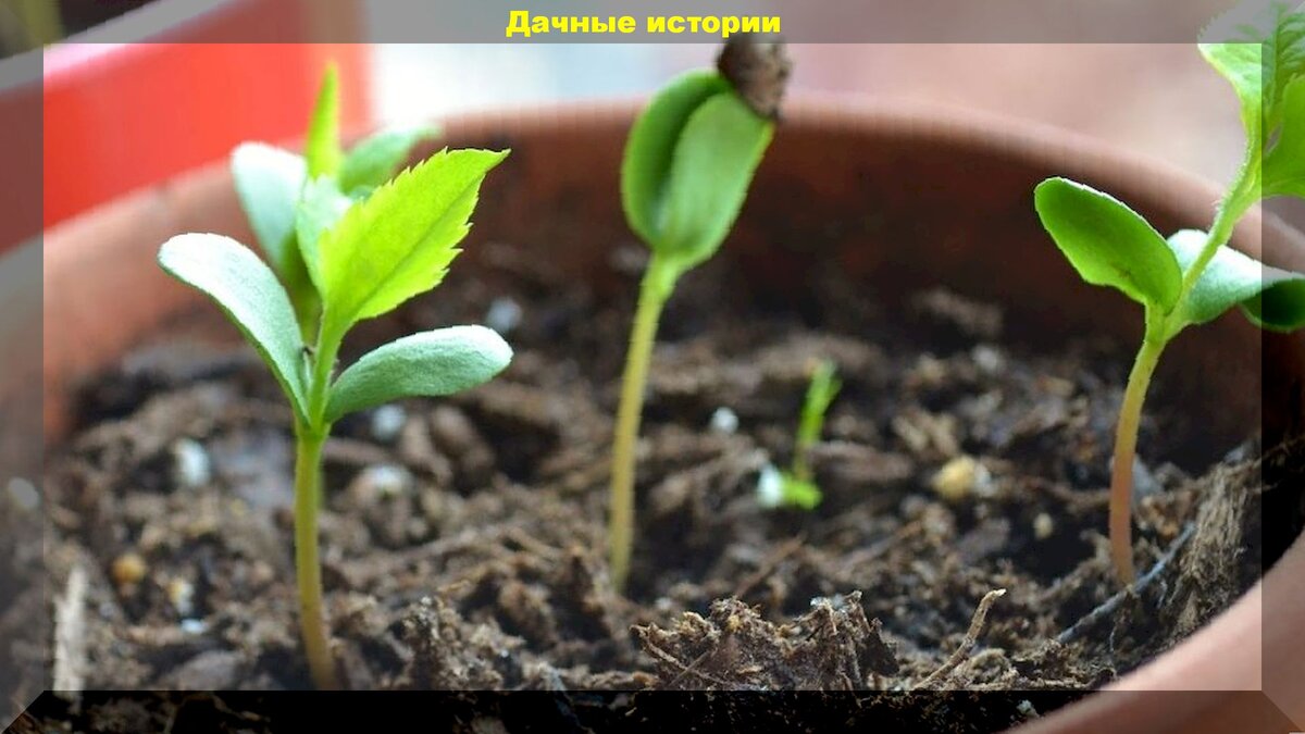 https://vk.com/photo-159774511_456241457