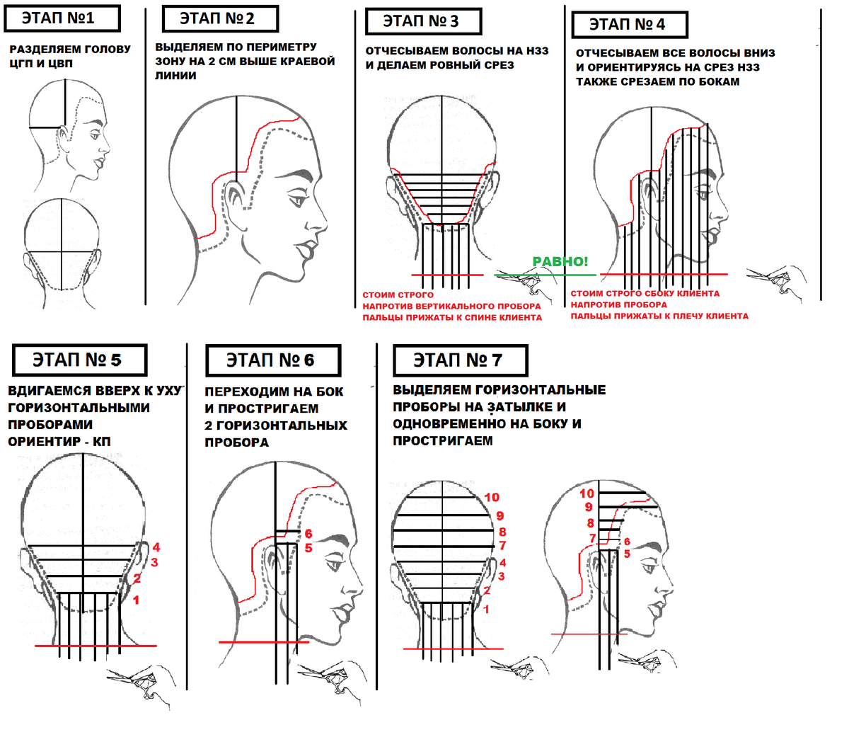 Схемы парикмахера. Проборы головы для парикмахеров схема. Схемы распределения волос при наращивании. Схема распределения капсул при наращивании волос. Схема выполнения массивной формы стрижки.