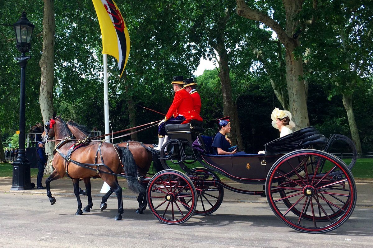 Фото: @scobie / twitter.com