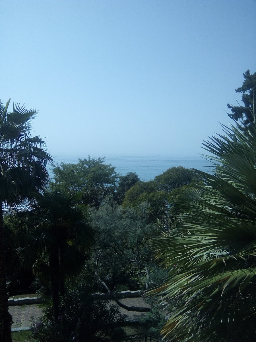 Снимок из моего архива. 