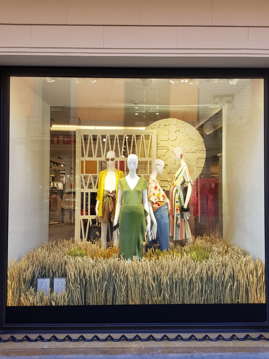 Испания. Барселона. Готический квартал витрина магазина