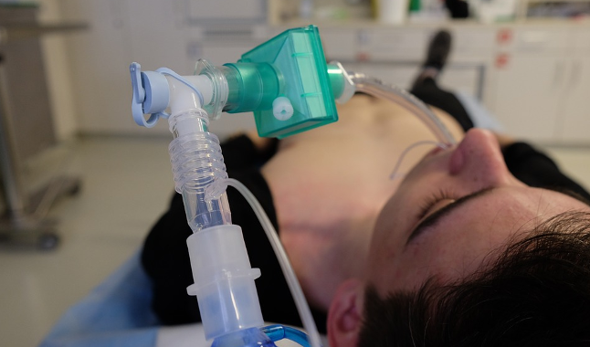 Фото c Pixabay. com взято для иллюстрации текста