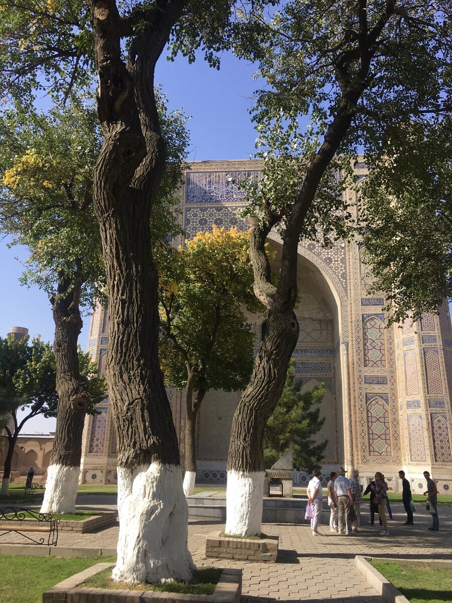 Три байки про Узбекистан, за которые мне постоянно стыдно