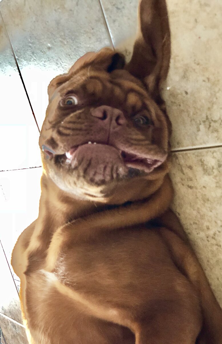 Утренняя зайка.