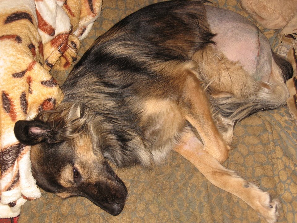 После операции