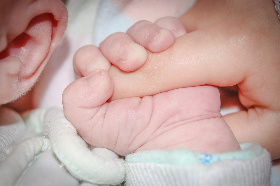 https://pixabay.com/ru/photos/baby-%D1%80%D1%83%D1%87%D0%BA%D0%B0-%D0%BA%D1%80%D0%BE%D1%88%D0%B5%D1%87%D0%BD%D1%8B%D0%B9-%D0%BE%D1%82%D0%B5%D1%86-%D1%81%D0%B5%D0%BC%D1%8C%D1%8F-428395/