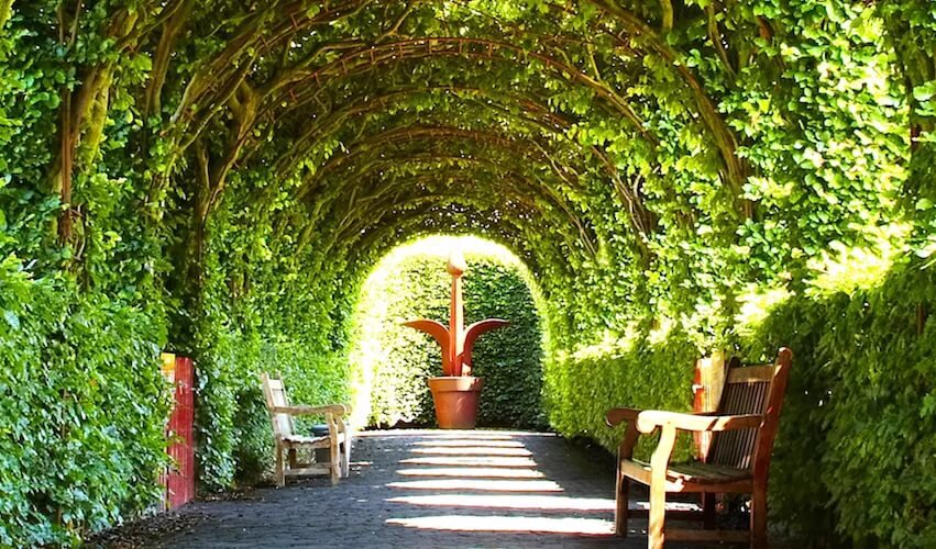 Площадь 1905 года екатеринбург выставка ландшафтного дизайна 2022. Интересные сады подмосковья. Сад 5 элемент. Сад 5 элемент. Сад 5 элемент.