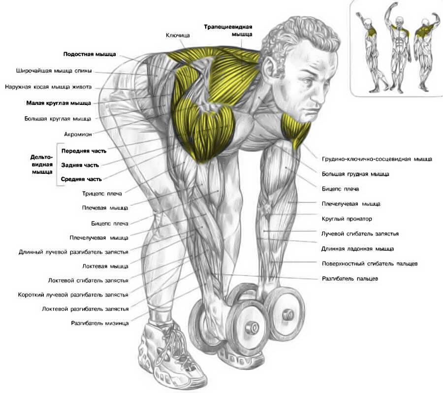 Workout программа тренировок на руки (турник и брусья)